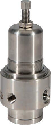 Exemplary representation: Stainless steel pressure regulator (1.4404)